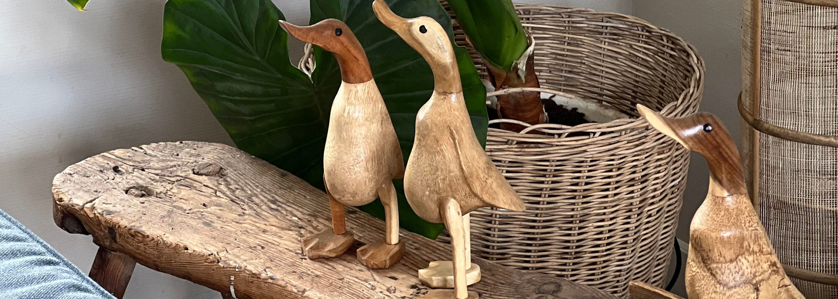 uQDm51LHHPdh6qHcbEEHtdQAEF_f0MWJVQzOeUFE9Dk-accessoires foto2