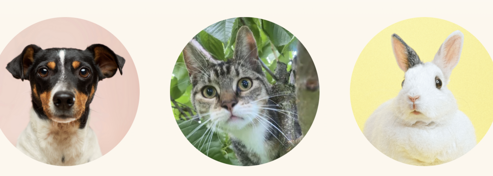 Screenshot 2026-01-13 at 11.58.35